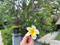 -海南清水湾莱佛士酒店