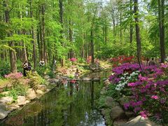 -上海共青森林公园