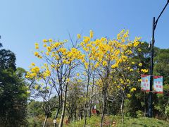 -广州市白云山风景名胜区