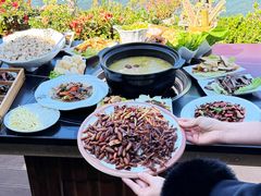 -野菌皇海景野生菌火锅(滨海大道店)