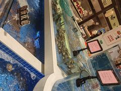 -渔人码头(中南店)