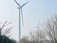 -上海海湾国家森林公园