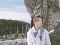 -圣维特主教座堂