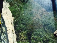 -罗田天堂寨风景区