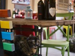-SISTERS BAR RESTAURANT川意酒馆(嘉善老市H楼店)