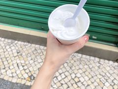 椰子雪糕-洪馨椰子