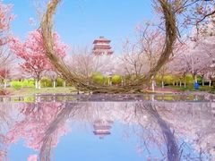 -古柏渡飞黄旅游区