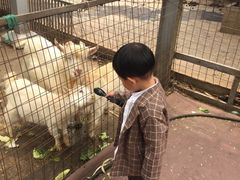 -白塘生态植物园