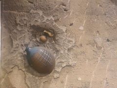 -破瓦寒窑·地摊烤羊排