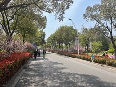 -自然谷恐龙园