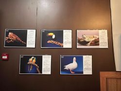 -Zoolung Zoolung动物主题公园(海信广场店)