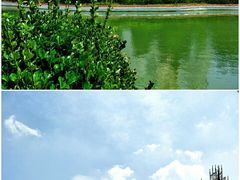 -蓬莱欧乐堡梦幻世界