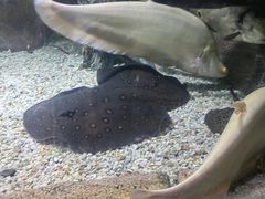 -多彩贵州城极地海洋世界