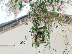-深圳国际园林花卉博览园