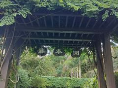 -中国科学院西双版纳热带植物园