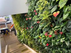 -Peet's Coffee皮爷咖啡(大学路店)