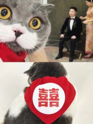 -新奕映像摄影机构