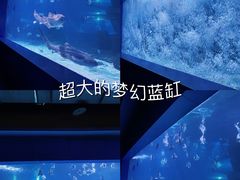 -重庆欢乐海底世界