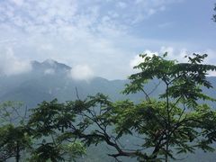 -陕西省红河谷森林公园