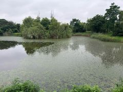 -白鹭湾湿地公园