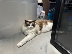 -零纪元VR体验馆·桌游(黄浦店)