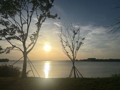 -漕湖湿地公园