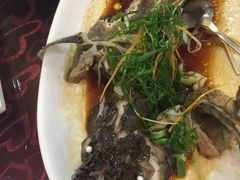 -海晖酒楼·顺德鱼生(荣华店)