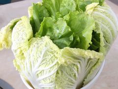 -墨脱石锅椰子鸡•香草鸭•东山羊(大东海店)