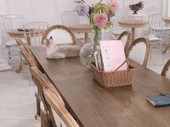 -共舞时光猫咖·狗咖(新街口店)