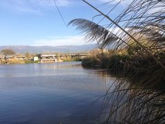 iphone_upload_pic-西昌邛海湿地