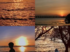 -宝安西湾红树林湿地公园