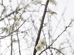 -广州市流溪河国家森林公园