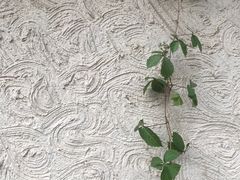 -睦南公园