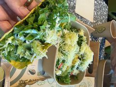 -油梨树AVOCADO TREE(望京店)
