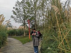 -眉山湿地公园(东坡区)