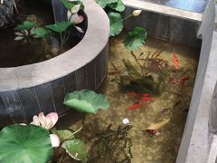 环境-淮扬楼(文港路店)