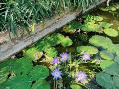 -国家植物园南园