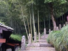 -严子陵钓台(富春江小三峡)