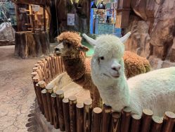 -宝燕乐园(闵行旗舰店)