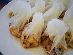 纸包豆腐-天回镇何氏豆腐(总店)