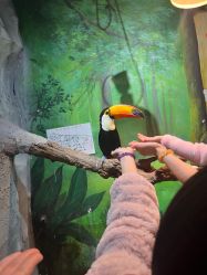 -Zoolung Zoolung动物主题公园(海信广场店)