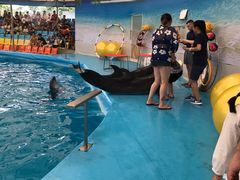 -尼莫海豚馆