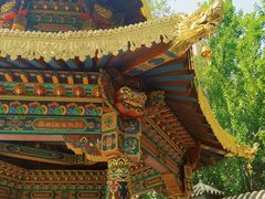 -护国法轮寺