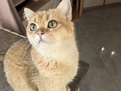 -美联众合动物医院·24h京西诊疗中心