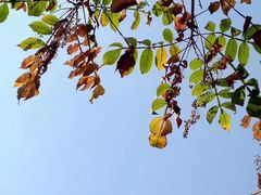 -杭州半山国家森林公园