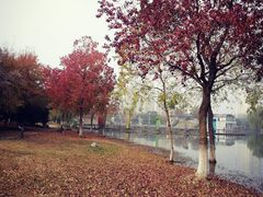 -白塘生态植物园