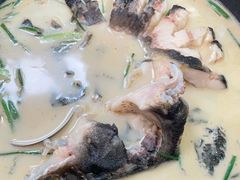 -饭怕鱼(阳光100店)