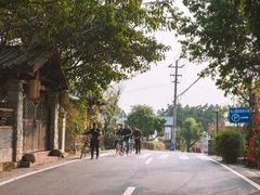 景点-三圣花乡旅游区