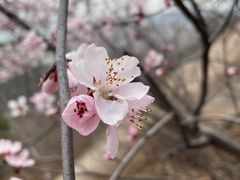 -大班家政月嫂育儿嫂(总部店)