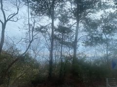 -溪口-滕头旅游景区